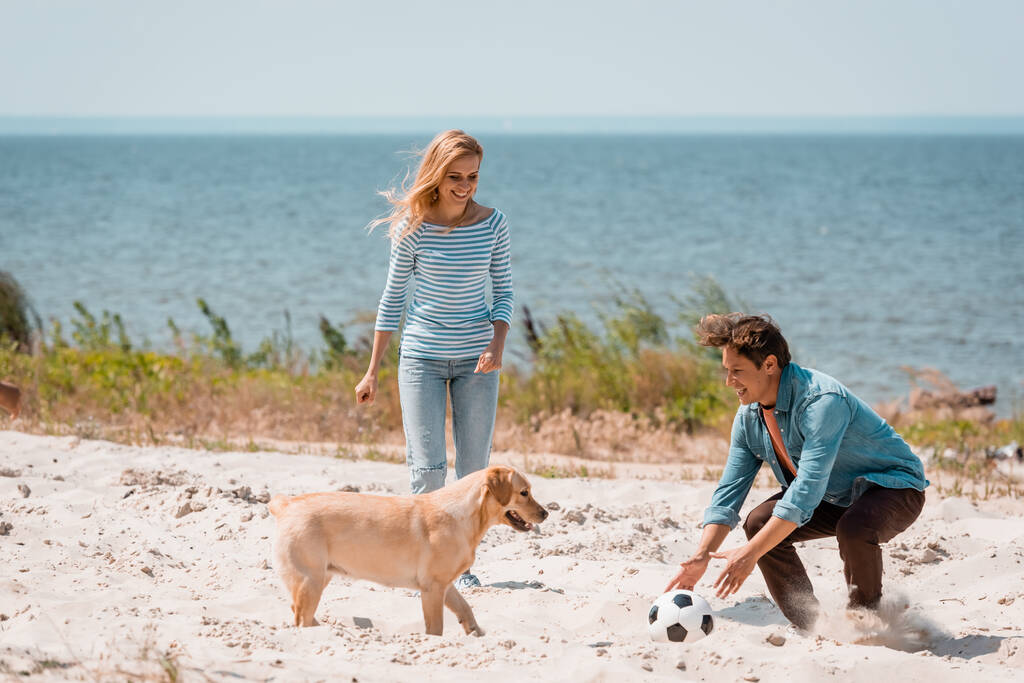 Hond en zijn eigenaren op een Nederlands strand